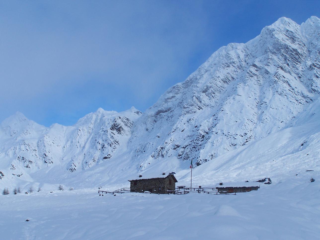 Camosci nella neve (secondo ed ultimo)
